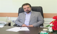 نکاتی برای پیشگیری از مسمومیت با قارچ‌های خودرو/ سال گذشته 3 نفر مسموم شدند