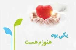 جوان 34 ساله جونقانی ناجی بیماران نیازمند عضو شد