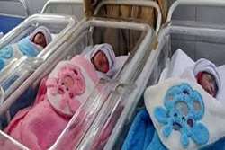 افزایش تعداد نوزادان 3 قلو در بیمارستان هاجر(س) شهرکرد