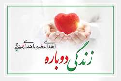 ثبت بیست و دومین اهدای عضو سالجاری در شهرکرد